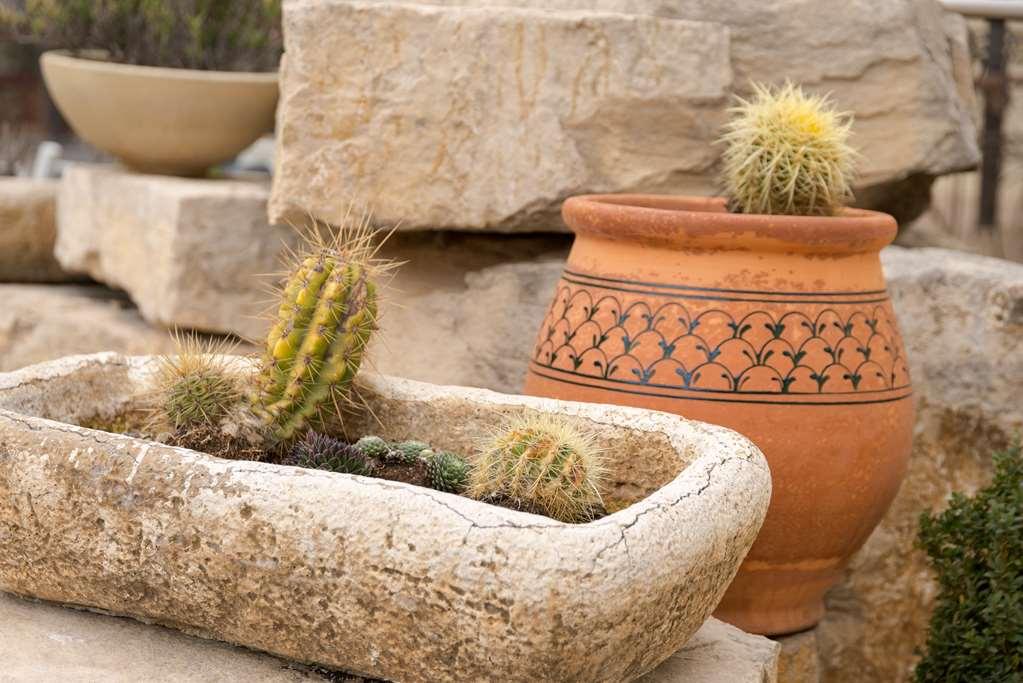 The Originals City, Hotel Le Village Provencal, Aix-En-Provence Nord Pertuis Servicios foto